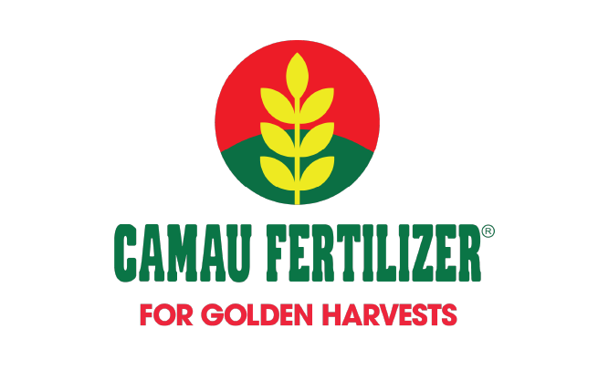 Logo Ca Mau