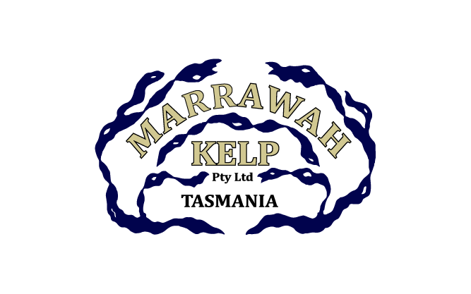 Logo marrawah kelp