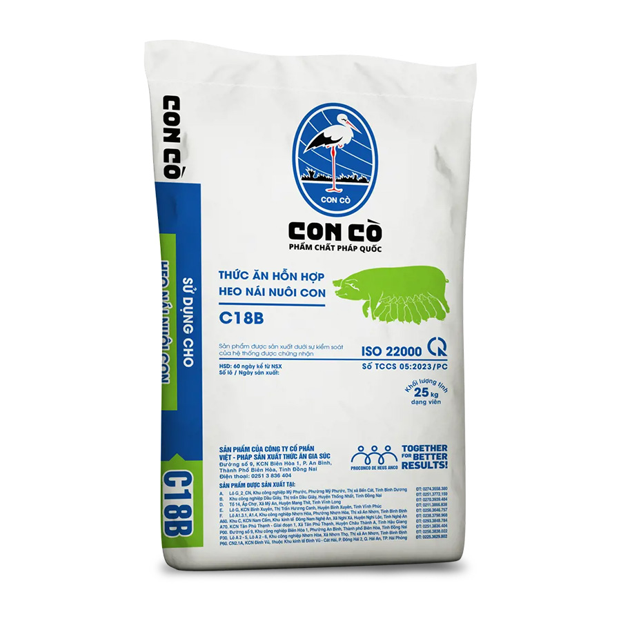 CON CÒ C18B - TAHH HEO NÁI NUÔI CON