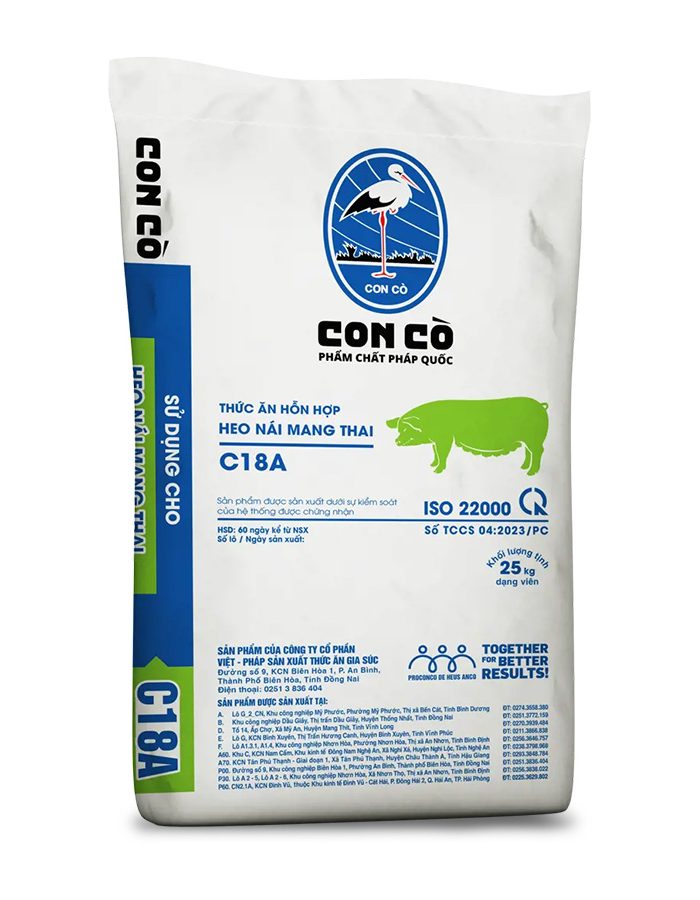 CON CÒ C18A – TAHH HEO NÁI MANG THAI