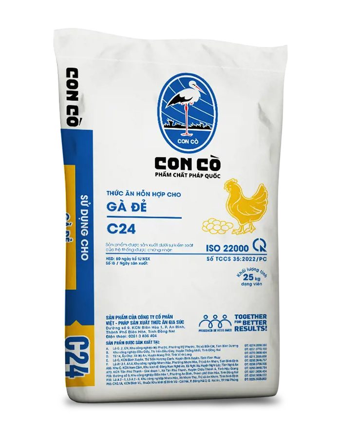 CON CÒ C24 – TAHH CHO GÀ ĐẺ