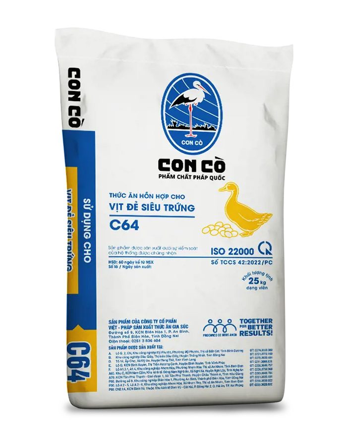 CON CÒ C64 – TAHH CHO VỊT ĐẺ